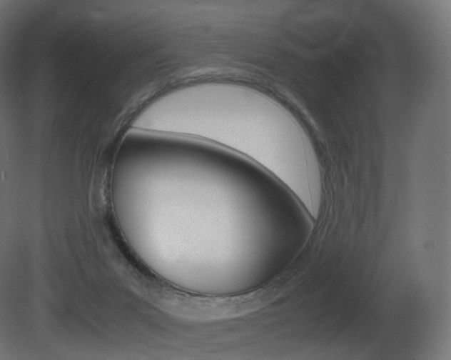 X0000081490023200701121124