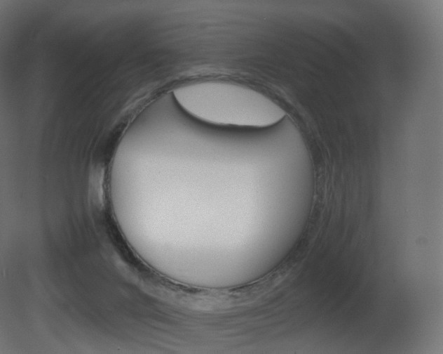 X0000081490024200701121124