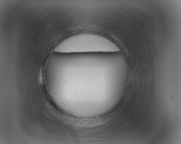 X0000081490026200701121124