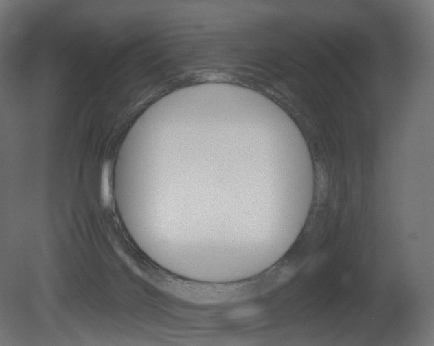 X0000081490028200701121124