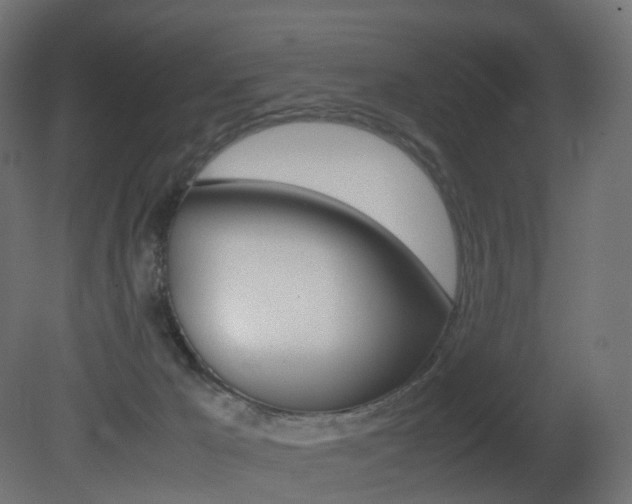 X0000081490029200701121124