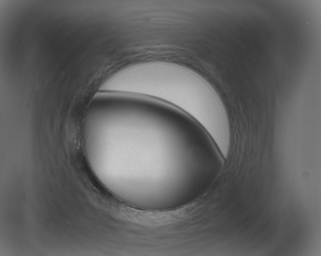 X0000081490031200701121124