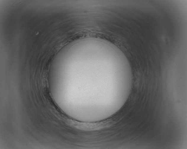 X0000081490034200701121124