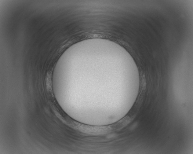 X0000081490036200701121124