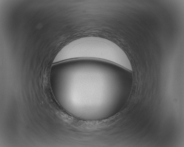 X0000081490037200701121124