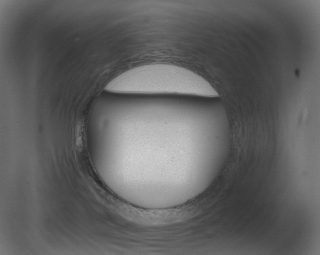 X0000081490038200701121124