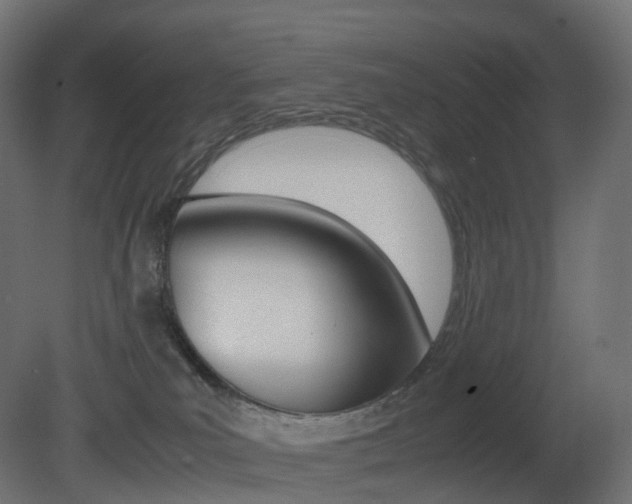 X0000081490039200701121124