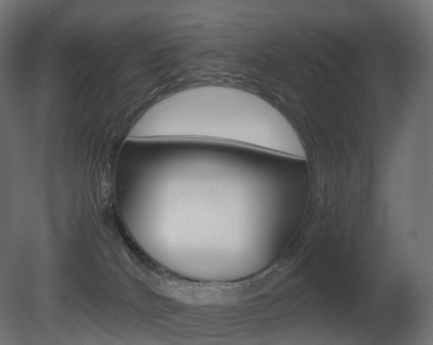 X0000081490040200701121124