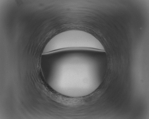 X0000081490044200701121124