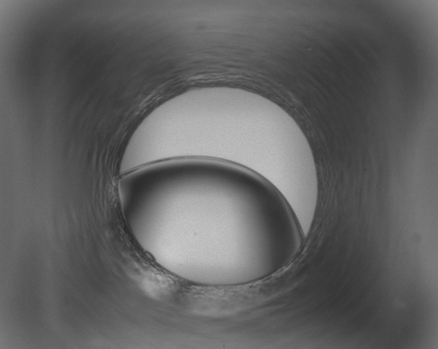 X0000081490045200701121124
