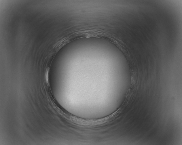 X0000081490047200701121124