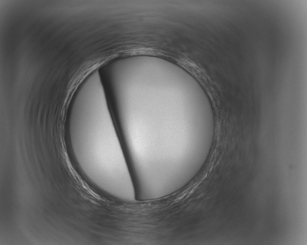 X0000081490049200701121123