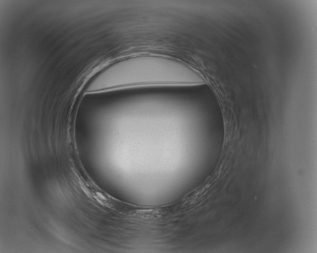 X0000081490050200701121123