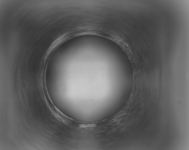 X0000081490051200701121123