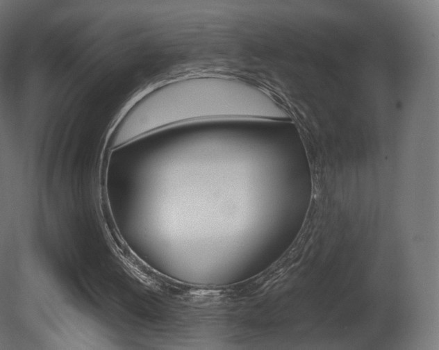 X0000081490052200701121123