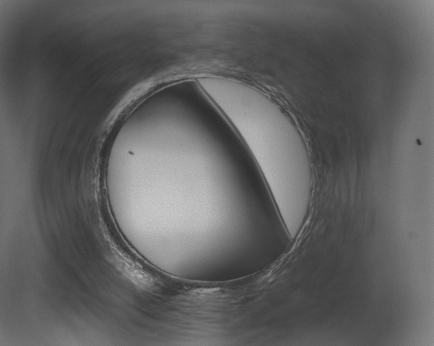 X0000081490054200701121123