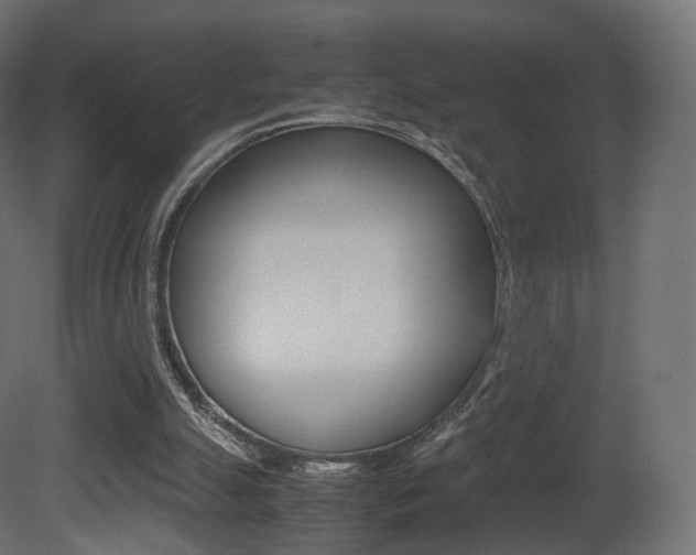 X0000081490055200701121123