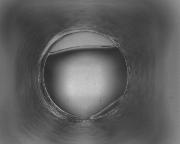 X0000081490056200701121123