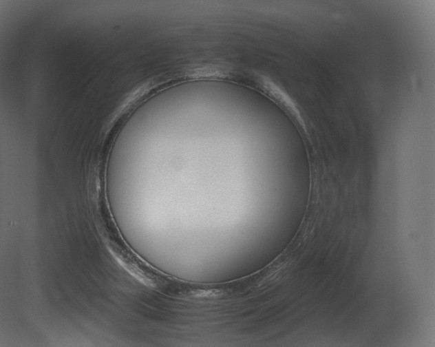 X0000081490059200701121123