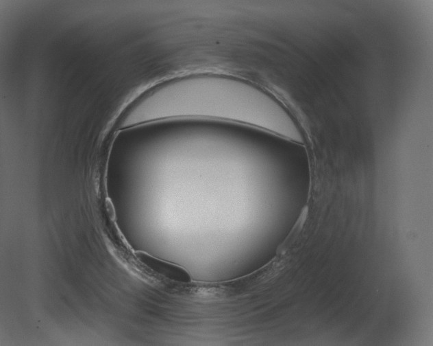 X0000081490060200701121123