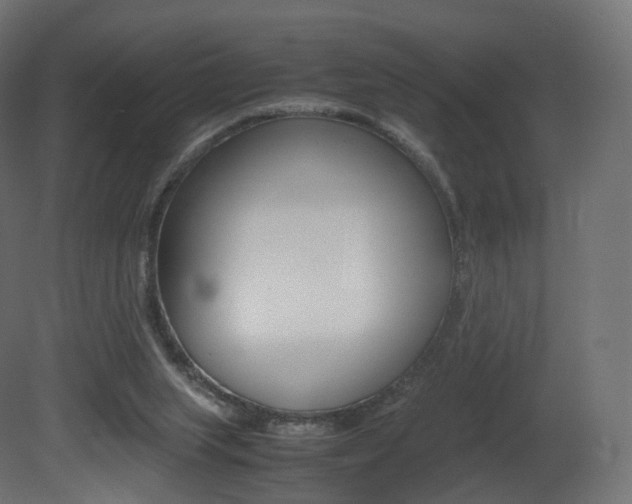X0000081490063200701121123