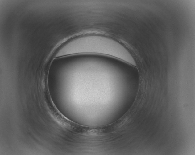 X0000081490064200701121123