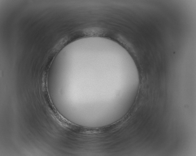 X0000081490065200701121123