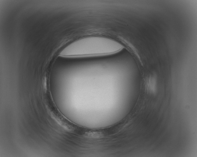 X0000081490067200701121123