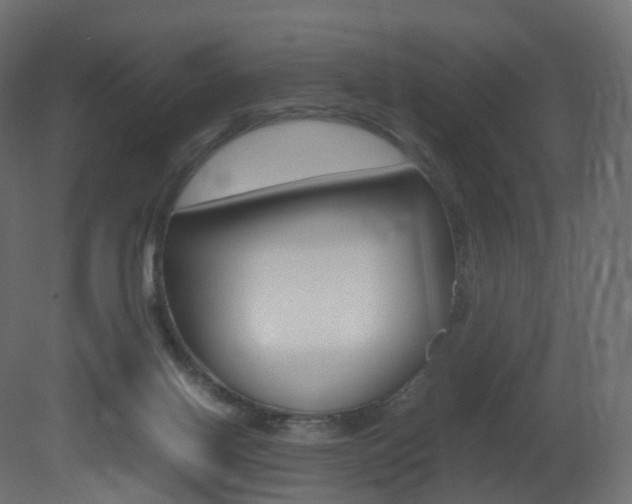 X0000081490070200701121123