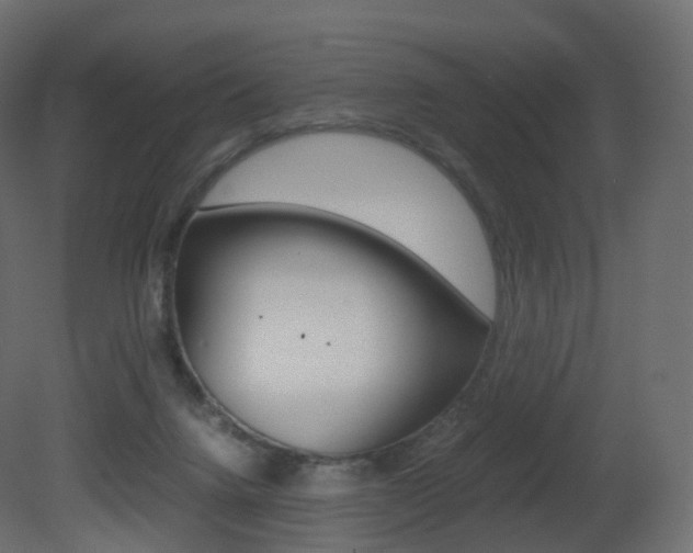 X0000081490072200701121123