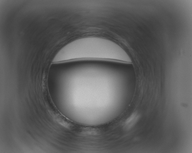 X0000081490073200701121123