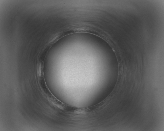 X0000081490076200701121123