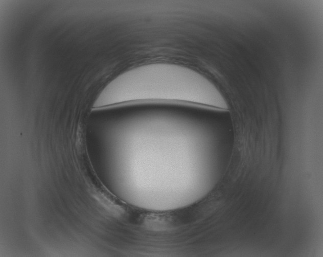 X0000081490077200701121123