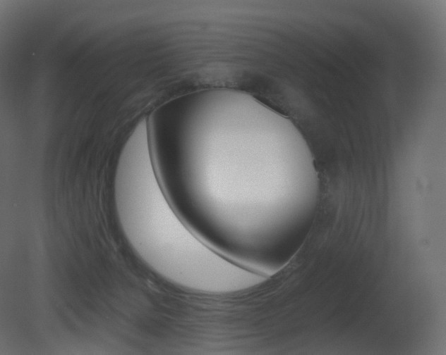 X0000081490080200701121123