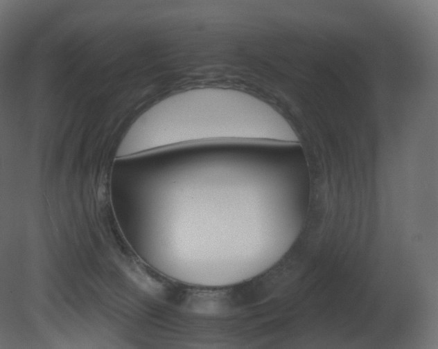 X0000081490081200701121123