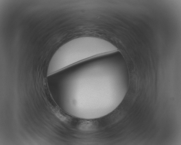 X0000081490083200701121123