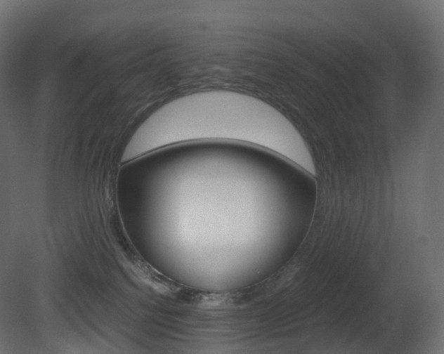 X0000081490088200701121123