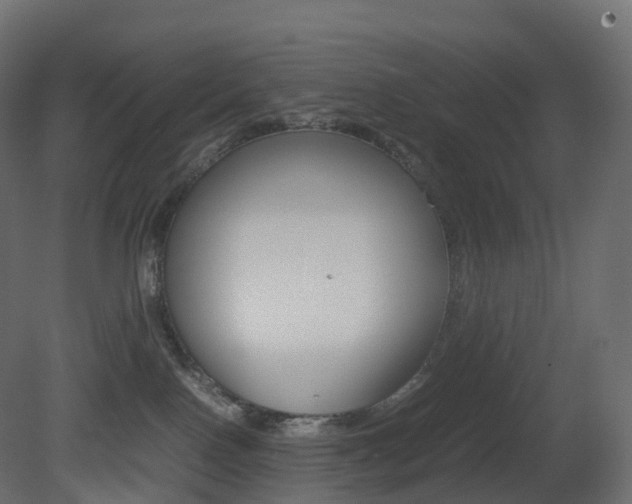 X0000081490090200701121124