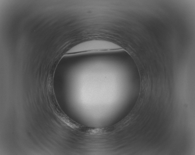 X0000081490092200701121124