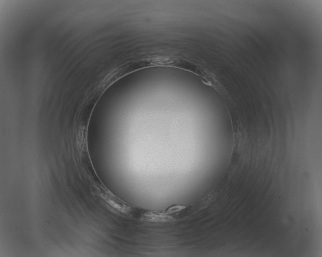 X0000081490093200701121124