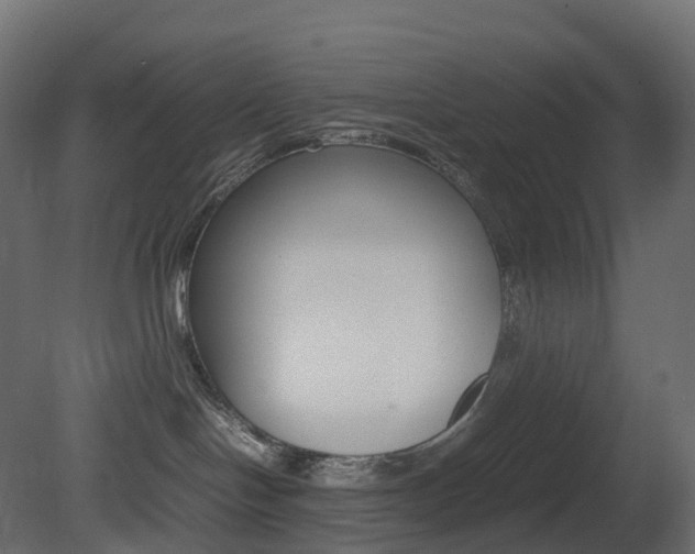 X0000081490094200701121124