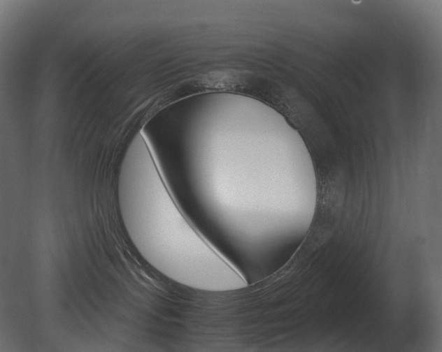 X0000081490095200701121124