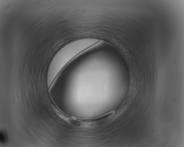 X0000081490096200701121124