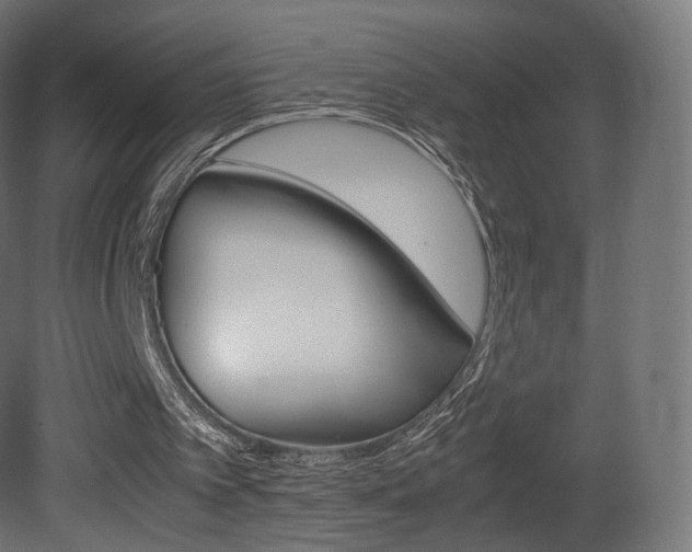 X0000081490097200701121123