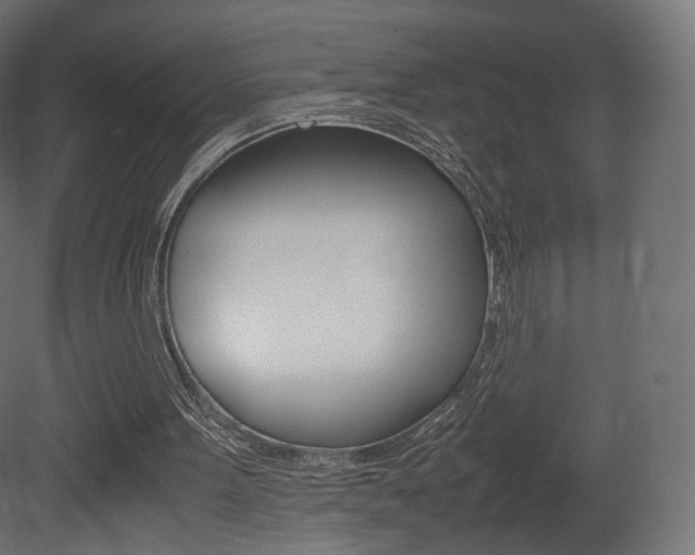 X0000081490099200701121123
