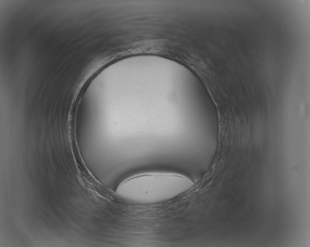 X0000081490100200701121123