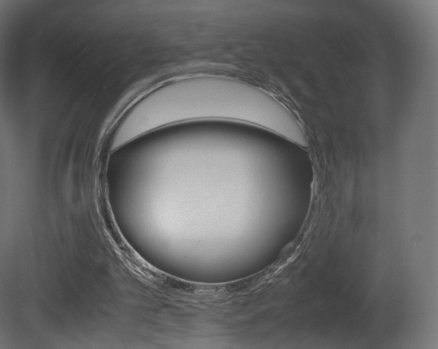X0000081490101200701121123