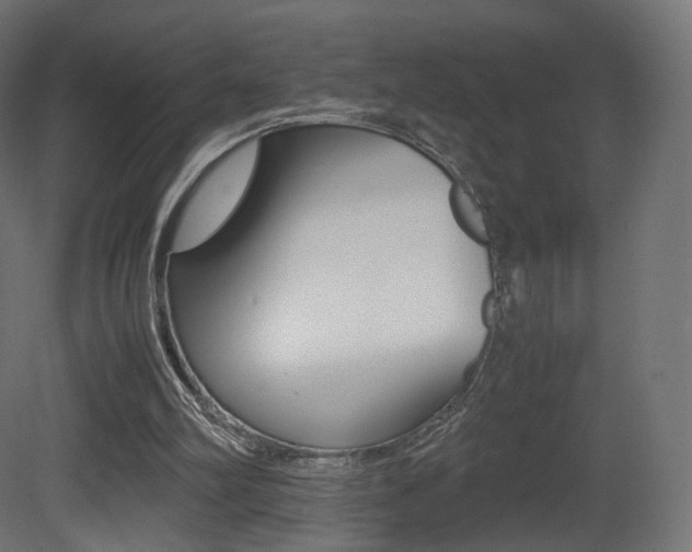X0000081490102200701121123