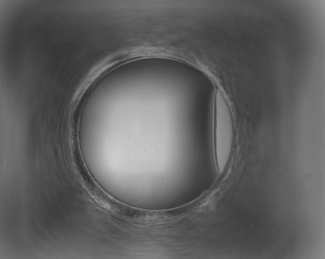 X0000081490103200701121123