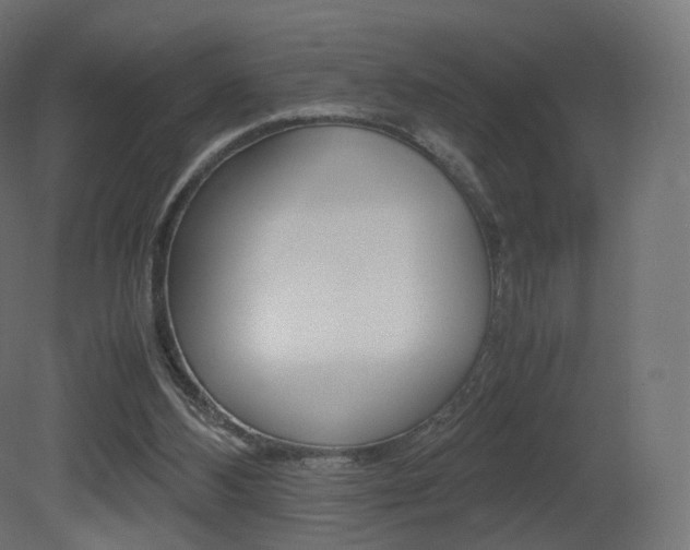 X0000081490108200701121123
